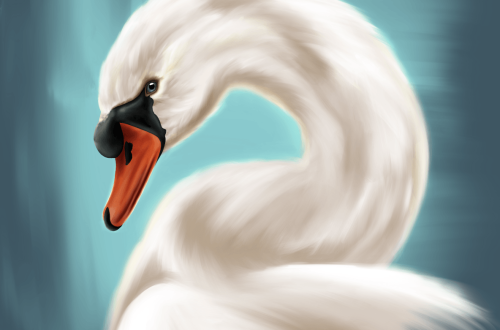 How to paint a swan in Procreate