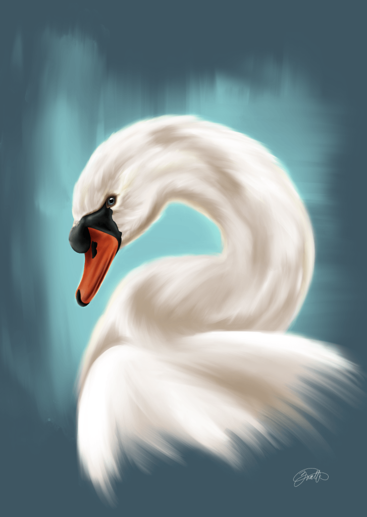 How to paint a swan in Procreate