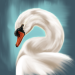 How to paint a swan in Procreate